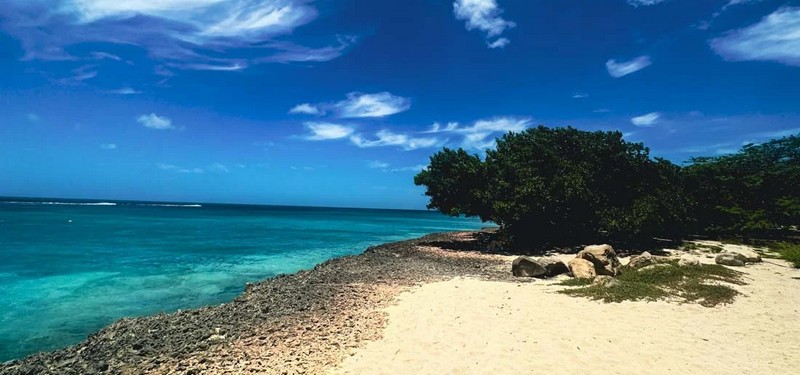 Aruba (Antilles néerlandaises)